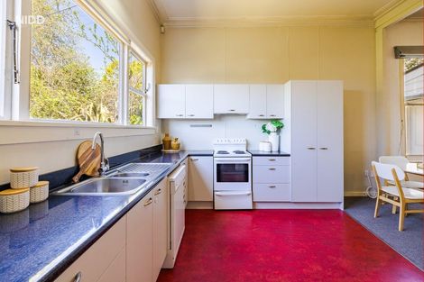 Photo of property in 36 College Street, Caversham, Dunedin, 9012