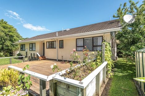Photo of property in 80 Treadwell Street, Springvale, Whanganui, 4501