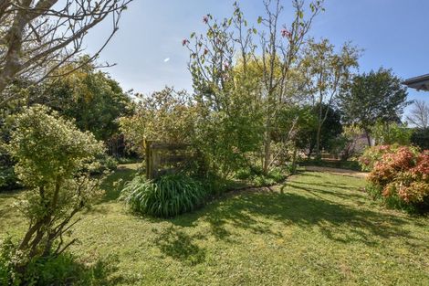 Photo of property in 14a Lincoln Road, Carterton, 5713