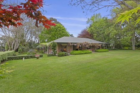 Photo of property in 253 Kaipaki Road, Ohaupo, 3881