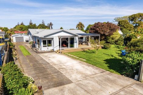 Photo of property in 33 Skerman Street, Marton, 4710