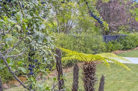 Photo of property in 12 Scotston Avenue, St Albans, Christchurch, 8052