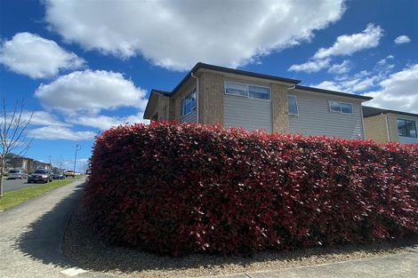 Photo of property in 51 Hughs Way, Flat Bush, Auckland, 2019
