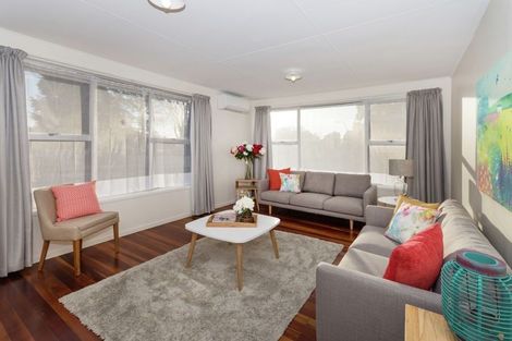 Photo of property in 26 Goodwin Drive, Rosehill, Papakura, 2113