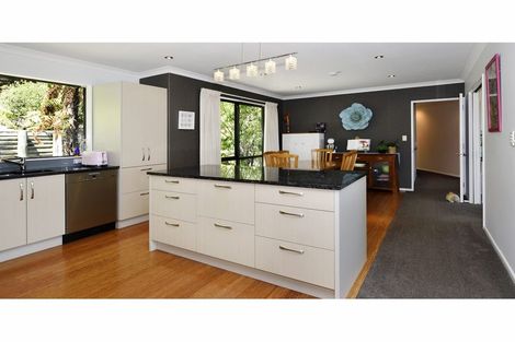 Photo of property in 41 Park Drive, Richmond, 7020