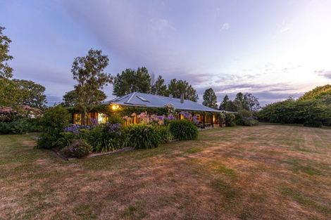 Photo of property in 145 Giffords Road, Rapaura, Blenheim, 7273
