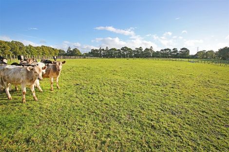 Photo of property in 96 Fraser Road, Pokeno, 2471