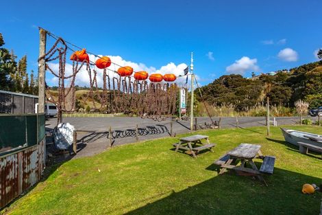 Photo of property in 1613 Manaia Road, Manaia, Coromandel, 3581