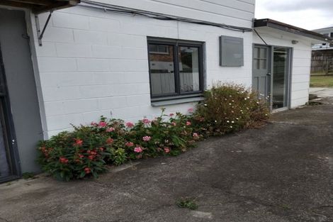 Photo of property in 21 Batkin Road, New Windsor, Auckland, 0600