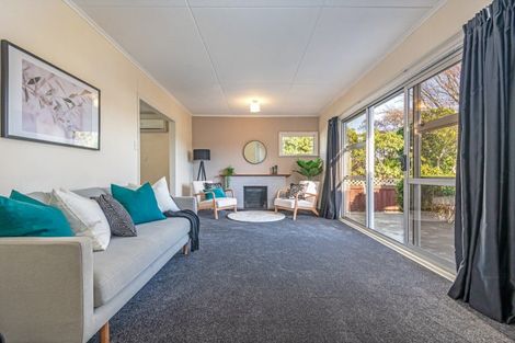 Photo of property in 24 Salisbury Avenue, Terrace End, Palmerston North, 4410
