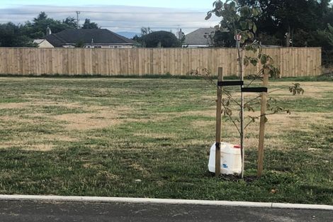 Photo of property in 22 Mitre Way, Solway, Masterton, 5810