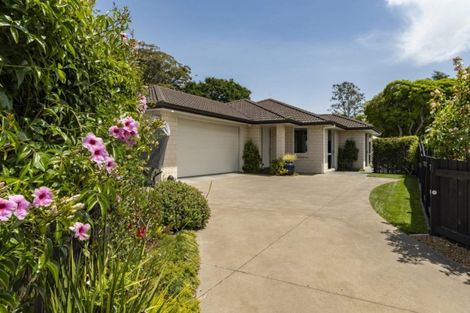 Photo of property in 15 Hansard Place, Bethlehem, Tauranga, 3110