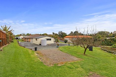 Photo of property in 87 Awaiti Place, Hairini, Tauranga, 3112