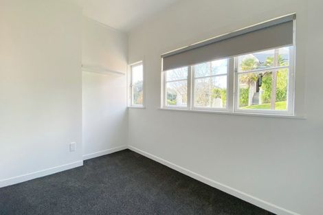 Photo of property in 26 Buchanan Street, Kingsland, Auckland, 1021