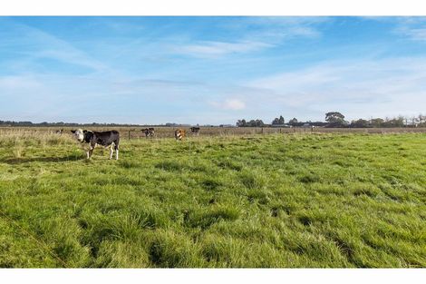 Photo of property in 91 Foley Road, Levels, Timaru, 7975