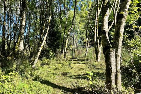 Photo of property in 754 Rutherglen Road, Marsden, Greymouth, 7872