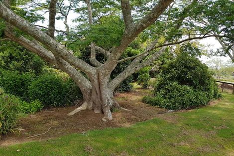Photo of property in 65 Ruebe Road, Buckland, Pukekohe, 2677