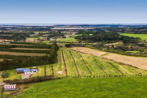 Photo of property in 54d Chard Road, Aongatete, Katikati, 3178