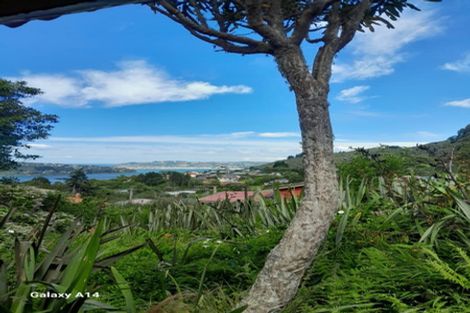 Photo of property in 51 Ellesmere Street, Ravensbourne, Dunedin, 9022