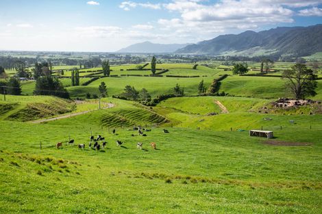 Photo of property in 166b Te Tuhi Road, Okauia, Matamata, 3471