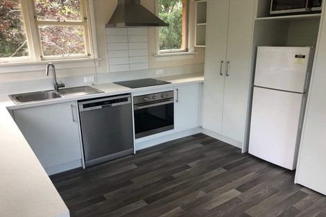 Photo of property in 191 Evans Street, Opoho, Dunedin, 9010