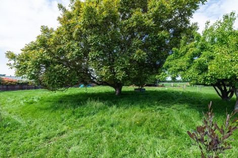 Photo of property in 5 Abbott Street, Te Hapara, Gisborne, 4010