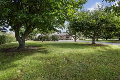 Photo of property in 14 James Avenue, Matamata, 3472