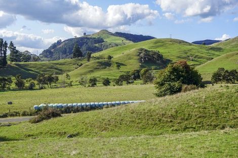 Photo of property in 48 Morrison Road, Taneatua, 3123