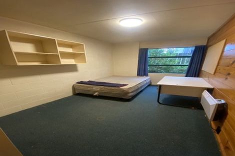 Photo of property in Te Awhina Apartments, 25/22 Sussex Street, Mount Cook, Wellington, 6021