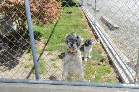 Photo of property in 41 Gavin Black Street, Meeanee, Napier, 4112