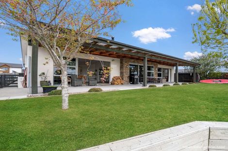 Photo of property in 60 Ludlow Drive, Huntingdon, Ashburton, 7774