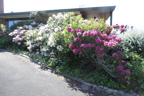 Photo of property in 189a Tower Road, Matamata, 3471