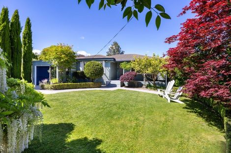 Photo of property in 11 Keats Terrace, Leamington, Cambridge, 3432