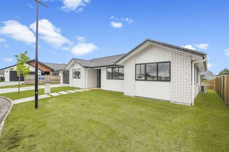 Photo of property in 52 Maggie Place, Chartwell, Hamilton, 3210