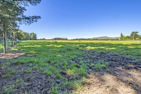 Photo of property in 428 Kowai Road, Springfield, 7681