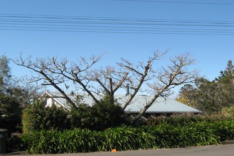 Photo of property in 85 Simla Avenue, Havelock North, 4130