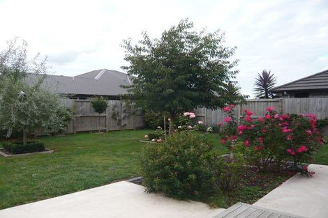 Photo of property in 129 Saint James Drive, Huntington, Hamilton, 3210