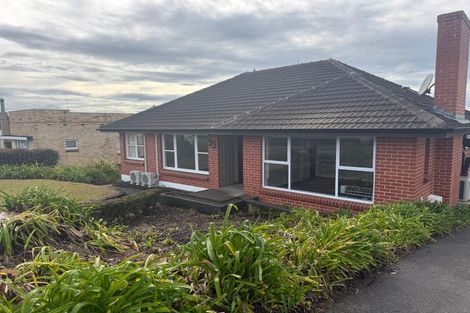 Photo of property in 99 Pembroke Street, Hamilton Lake, Hamilton, 3204