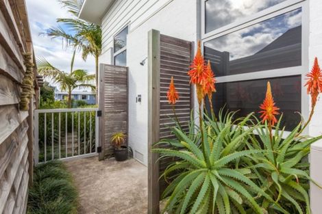 Photo of property in 223 Bellona Road, Whangamata, 3620