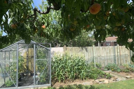 Photo of property in 69 Waenga Drive, Cromwell, 9310