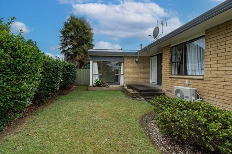 Photo of property in 41 Winstone Avenue, Chartwell, Hamilton, 3210