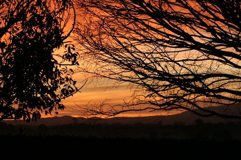 Photo of property in 42 Budden Road, Pokuru, Te Awamutu, 3875