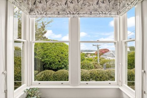 Photo of property in 53 Tweed Street, Roslyn, Dunedin, 9010