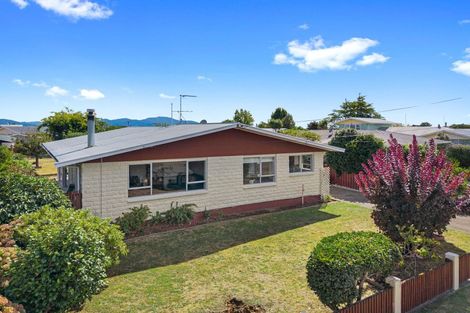 Photo of property in 61 Wither Road, Witherlea, Blenheim, 7201