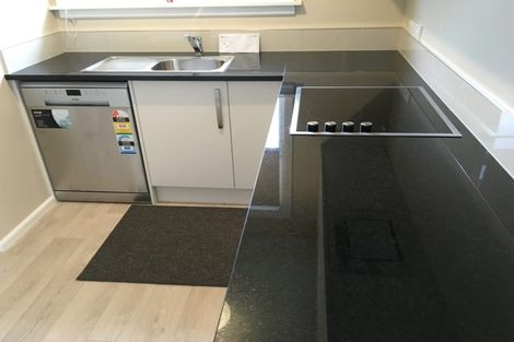 Photo of property in 19 Siddal Place, Richmond, Christchurch, 8013