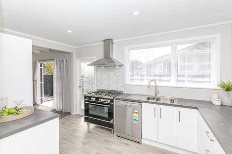 Photo of property in 17 Kensington Place, Fairfield, Hamilton, 3214