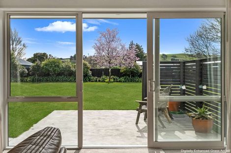 Photo of property in 3 Aberdeen Place, Amberley, 7410