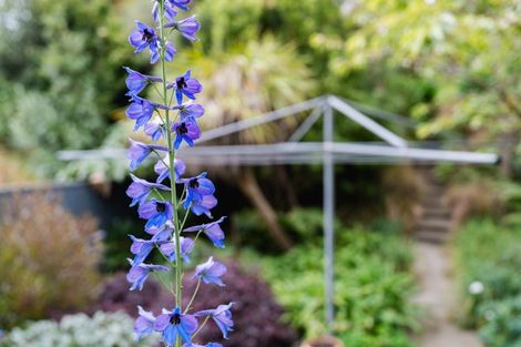 Photo of property in 61 Cannington Road, Maori Hill, Dunedin, 9010