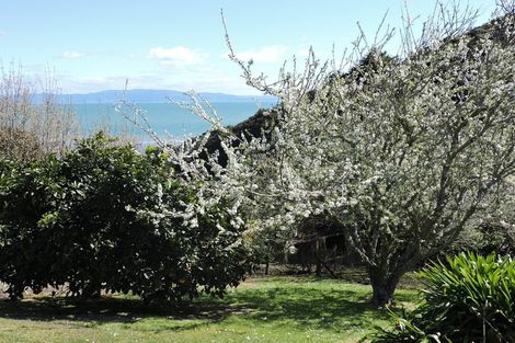 Photo of property in 15 Eames Crescent, Te Mata, Thames, 3575