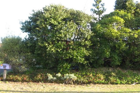 Photo of property in 107 Patuwai Drive, Whangamata, 3620